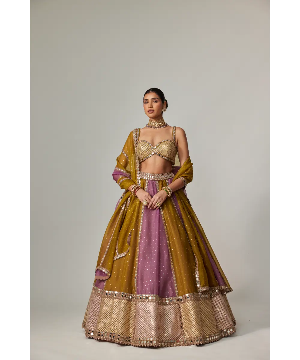 VVANI VATS - Green multicolor Sequin Scatter Lehenga Set